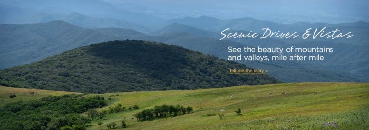 Photo from: http://myswva.org/